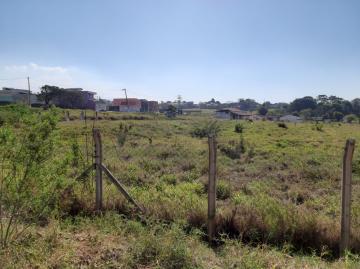 Itupeva Bairro da Chaves Area Venda R$15.000.000,00 