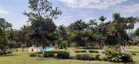 Jarinu Vila Primavera Rural Venda R$1.300.000,00 3 Dormitorios 20 Vagas Area do terreno 20000.00m2 